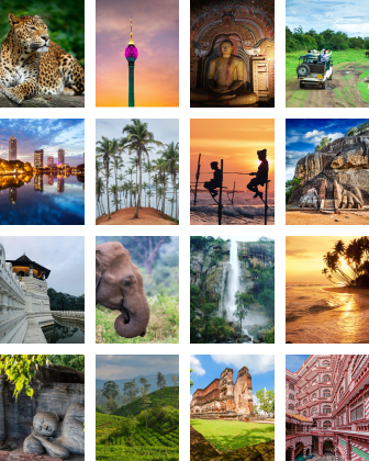 A collage of Sri Lankan experiences — temples, ancient ruins, waterfalls, and wildlife — representing the range a bespoke itinerary can draw from.
