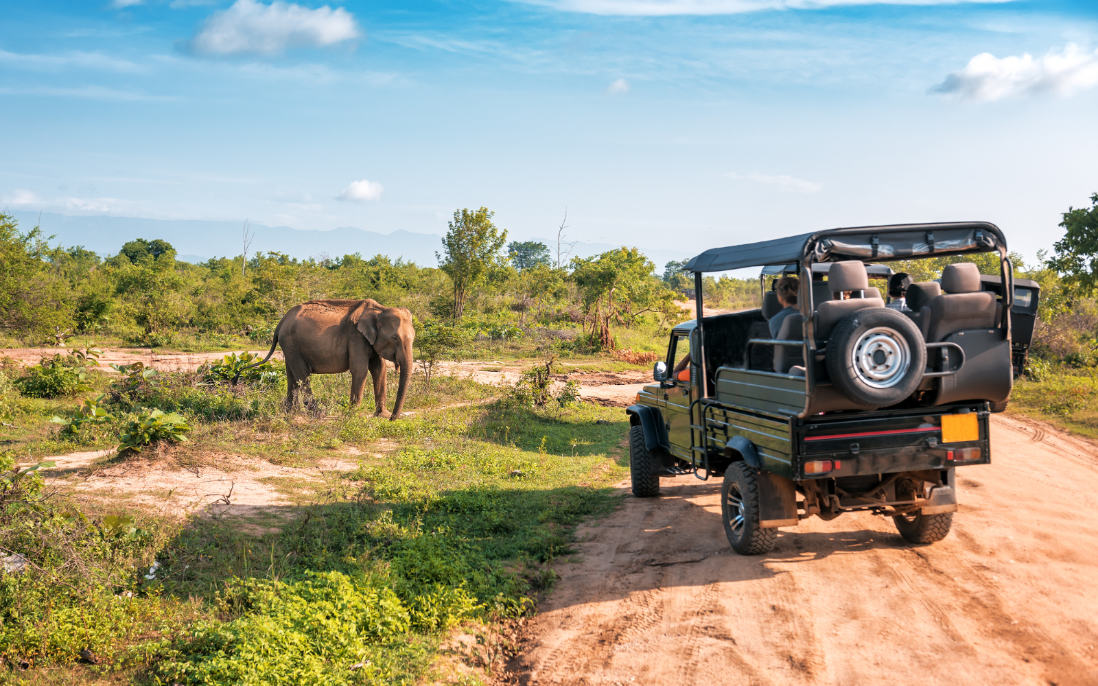 An open safari jeep approaching a wild elephant on a dirt track inside a Sri Lankan national park.